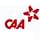 Chimes Aviation Academy - [CAA]