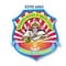 Vidyakirana Institute of Nursing Sciences - [VINS] logo