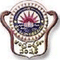 Andhra University, College of Science & Technology logo