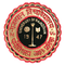 University Commerce College, University of Rajasthan logo