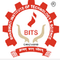 Bhagwati Institute of Technology and Science logo