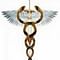 Terna Medical College logo
