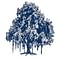 International Institute of Information Technology - [IIIT] logo