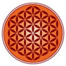 Vedica Scholars Programme for Women - [VSPW]