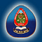 Shivalik College of Pharmacy Nangal logo