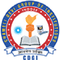Chameli Devi School of Engineering - [CDSE] logo