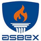 Agni School Of Business Excellence - [ASBEX] logo