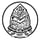 Janardan Rai Nagar Rajasthan Vidyapeeth, Faculty of Management Studies- [FMS]