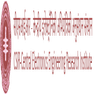 Central Electronics Engineering Research Institute - [CEERI]
