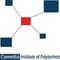 Camellia Institute of Polytechnic - [CIP] logo