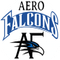 Aerofalcons Aviation Services & Training logo