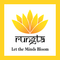 Rungta College of Dental Sciences and Research - [RCDSR] logo