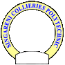 Singareni Collieries Polytechnic