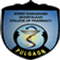 Shree Babasaheb Gharfalkar College of Pharmacy logo