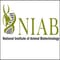 National Institute of Animal Biotechnology logo