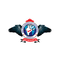 Sha-Shib Aerospace Engineering logo