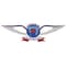 Sha-Shib Flying Academy logo