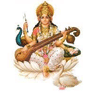 Saraswati Vidya Mandir College of Education