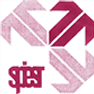 Sardar Patel Institute of Economic and Social Research - [SPIER]