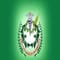 SSJ College of Pharmacy logo