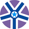 Vignan Institute of Pharmaceutical Sciences - [VIPS] logo