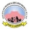 Smt Kashibai Navale College of Pharmacy - [SKNCOP] Kondhwa logo
