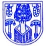 University Institute of Engineering and Technology - [UIET - BBAU]