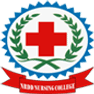 Norang Ram Dayanand Dhukia Nursing School