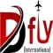 DFly International Aviation Institute logo