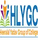Heeralal Yadav Group Of Colleges