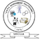 S.R.R.S Government Polytechnic Siricilla logo