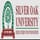 Silver Oak College of Engineering and Technology - [SOCET]