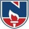 Narayana Engineering College - [NEC] logo