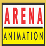 Arena Animation