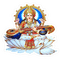 Shree Narmada College of Education logo
