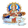 Shree Narmada College of Education