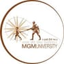 MGM University, Institute of Social Sciences