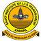 Balaji Institute of IT and Management logo