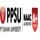 P.P. Savani University