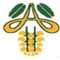Amaltas Institute of Nursing Sciences logo