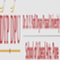 Dr. D.Y. Patil School of Liberal Arts logo