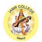 IAMR College logo