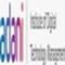 Adani Institute of Digital Technology Management - [AIDTM] logo
