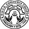 DHSK Commerce College logo