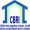 CSIR-Central Building Research Institute - [CBRI] logo