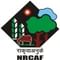 National Research Centre for Agroforestry - [NRCAF] logo