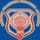 Telangana State Aviation Academy