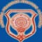 Telangana State Aviation Academy logo