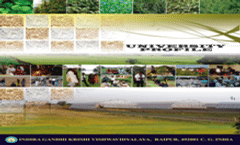Information Brochure