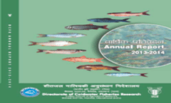 Information Brochure